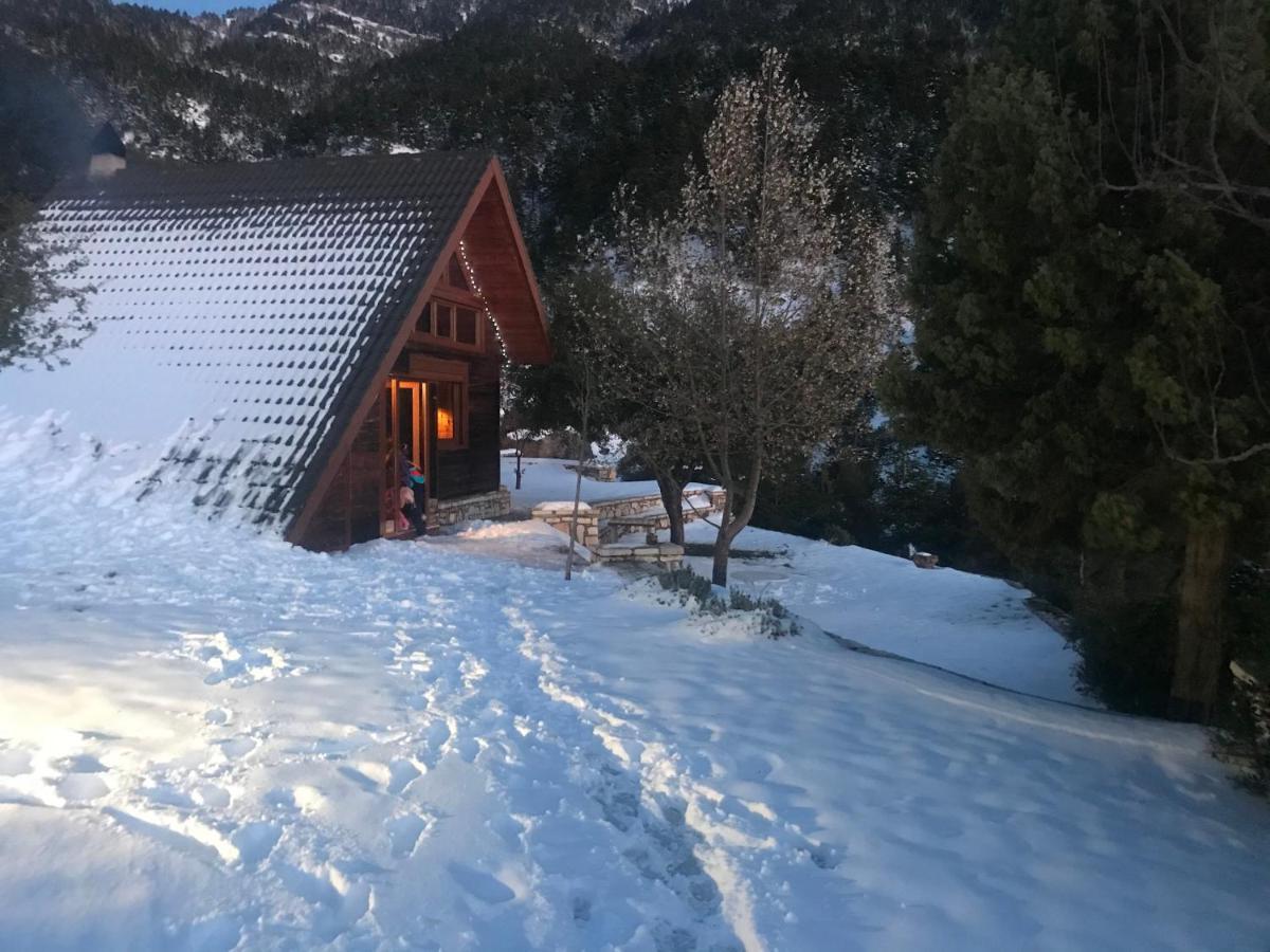 Chalet In The Forest Калаврита Экстерьер фото