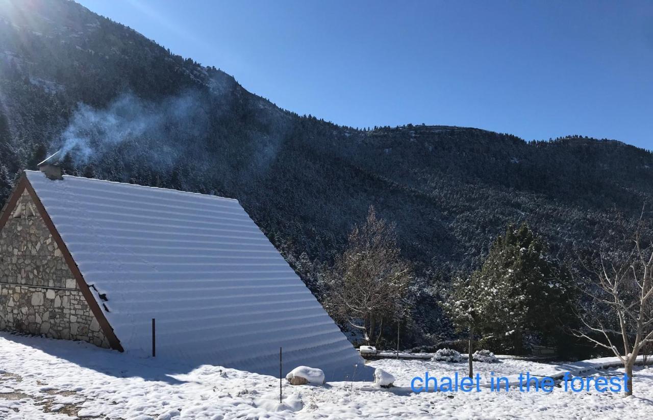 Chalet In The Forest Калаврита Экстерьер фото