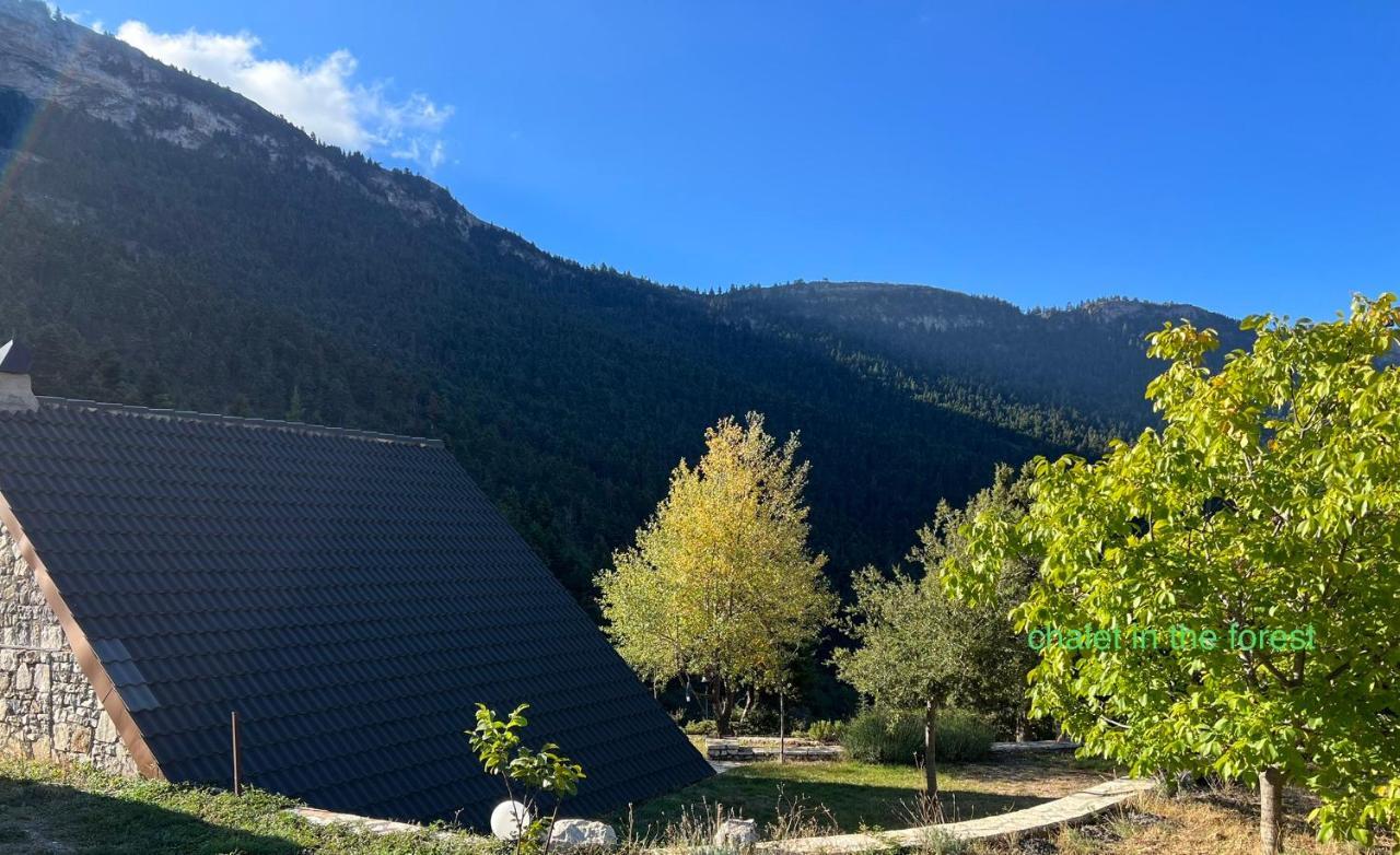 Chalet In The Forest Калаврита Экстерьер фото