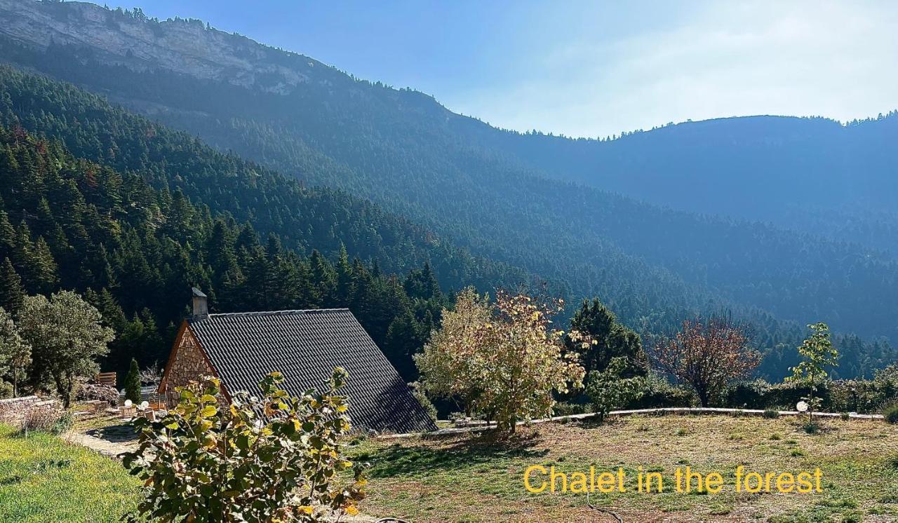 Chalet In The Forest Калаврита Экстерьер фото