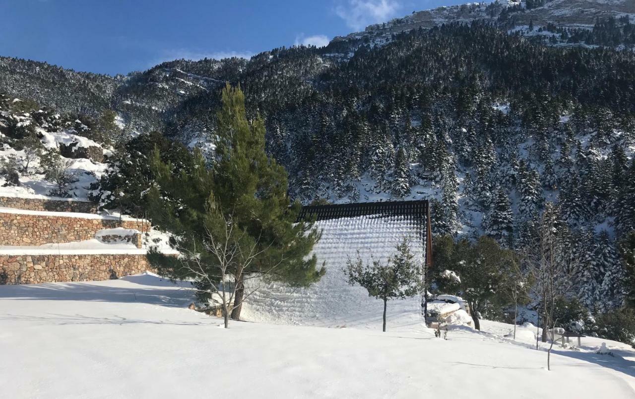Chalet In The Forest Калаврита Экстерьер фото
