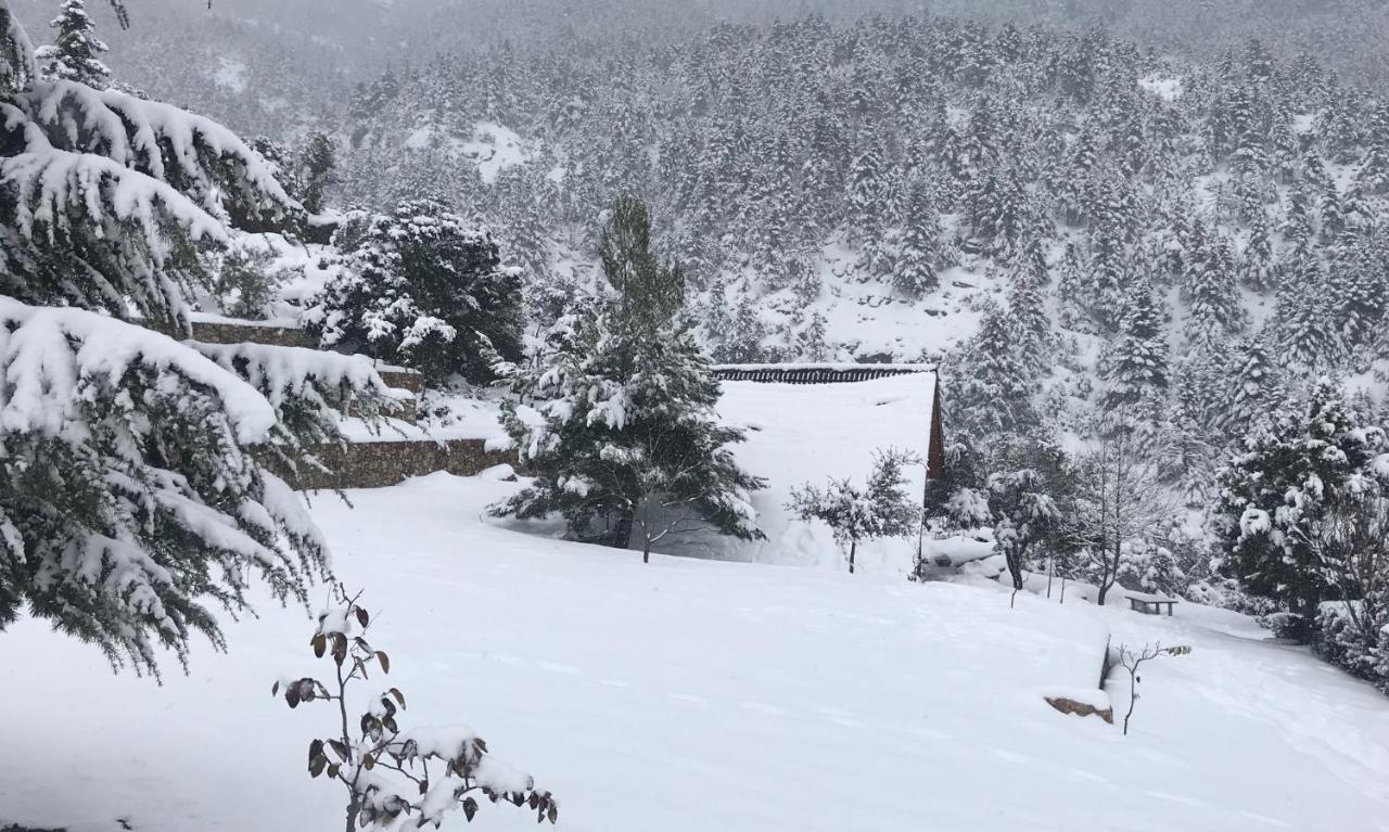 Chalet In The Forest Калаврита Экстерьер фото