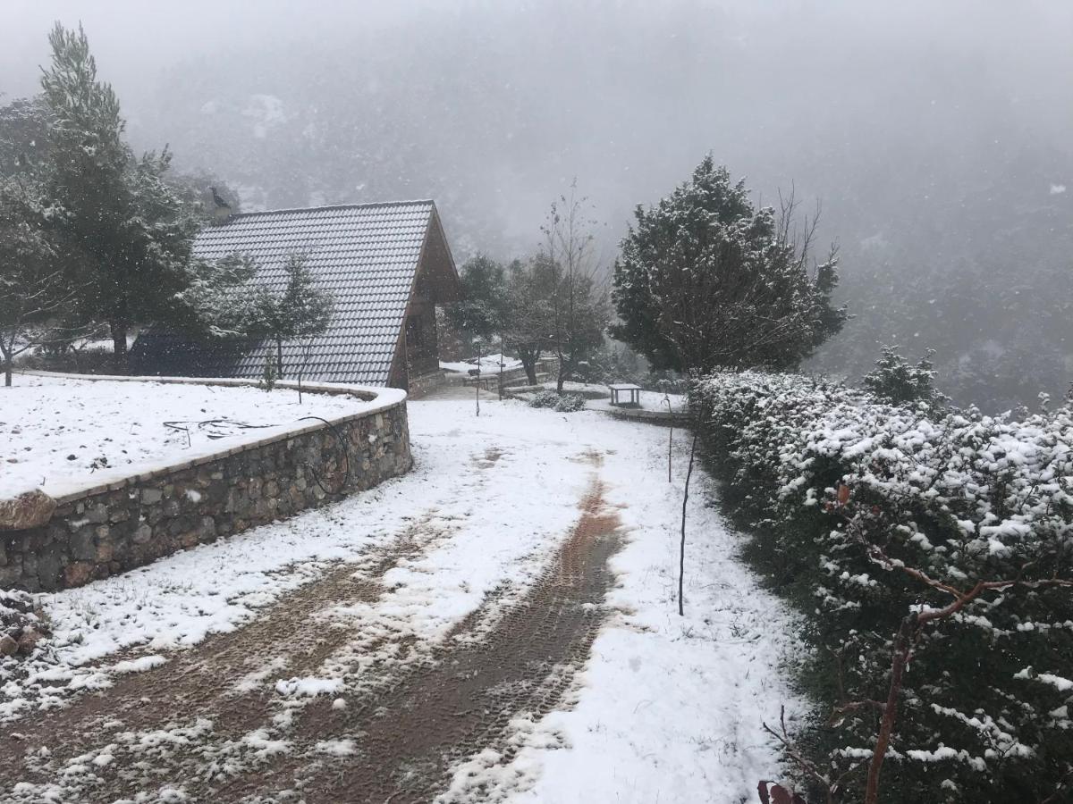 Chalet In The Forest Калаврита Экстерьер фото